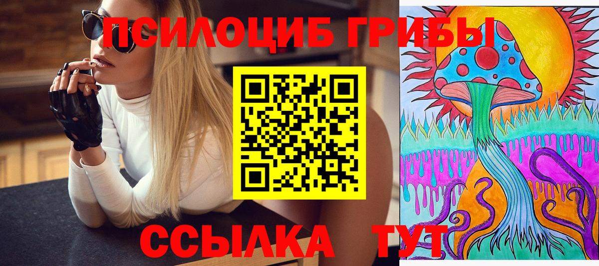 Галлюциногенные грибы Cubensis Протвино